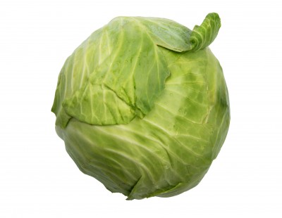benefits of sauerkraut start with a cabbage