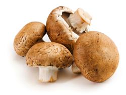 Sun Dried Mushrooms Are an Excellent<br>But Hard to Find<br> Source of Vegan Vitamin D2