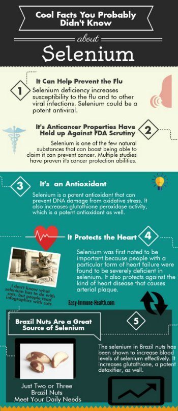 Cool Facts You Probably didn't know about selenium