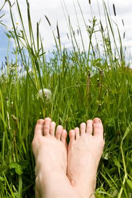 green leaves and skin photosynthesize