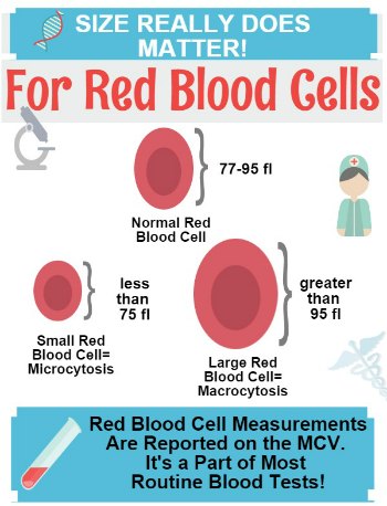 Macrocytosis Size Does Matter for RBC's on an MCV Test