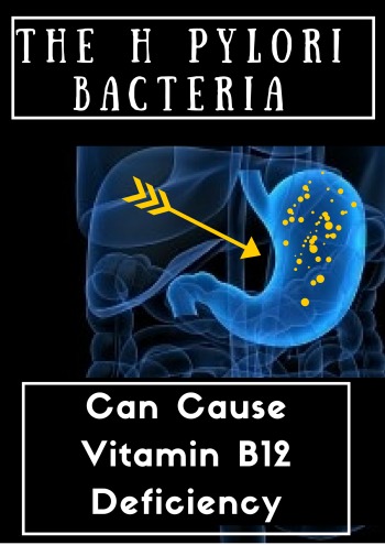 The H Pylori Bacteria Can Cause Vitamin B12 Deficiency