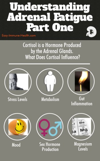 Understanding Adrenal Gland Fatigue is an important part of health