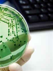 bacteria-in-petri-dish-green